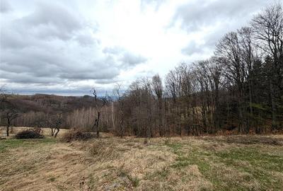 TEREN 34.000 MP | SERANI BIHOR - 4