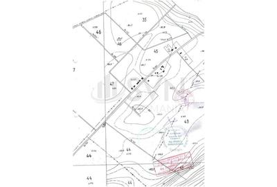 REL4001297 Teren Intravilan - Dascalu - Gagu - 2