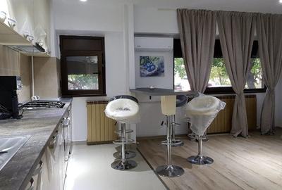 Garsonieră, mobilată în Lujerului