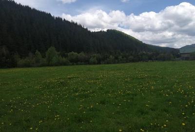 Teren intravilan in Gheorgheni, zona Km 4 - 3