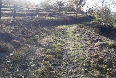 Teren cu acces facil și priveliște panoramică în Podgoria Oradea - 2