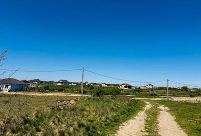 Teren intravilan 3800 mp Alparea lângă pădure - 3