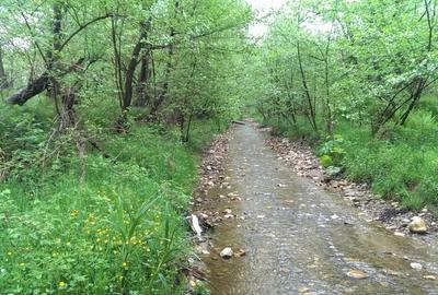 Vand Teren Livada 7.2 hectare - 3