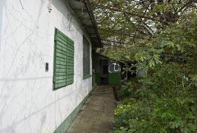 CASĂ TRADIȚIONALĂ CU GRĂDINĂ GENEROASĂ ȘI VIE – ISACCEA, JUD. TULCEA - 2