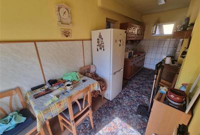 Casa independenta , vintage de vanzare , 300 mp cu teren de 1493 mp Sancrariul d - 9