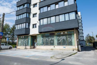 Spațiu comercial 116 mp parter Craiter – vitrină, open space - 1