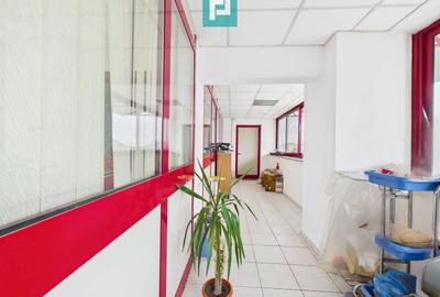 Hală de producție, cu birouri și teren, în Sebiș - 38