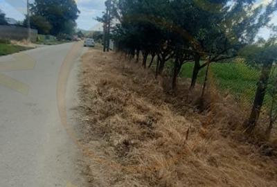 Teren Construcții intravilan de 2500 mp, în Golești (Ștefănești)