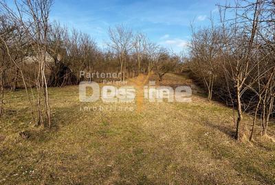 Teren INTRAVILAN, Copou, Viticultori, Iași 1451mp - 1