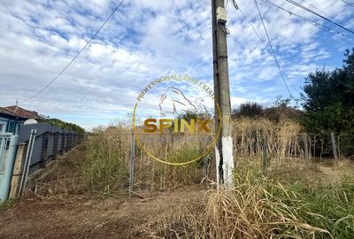 Teren 3905 mp Manasia, pozitie la drum judetean - 4