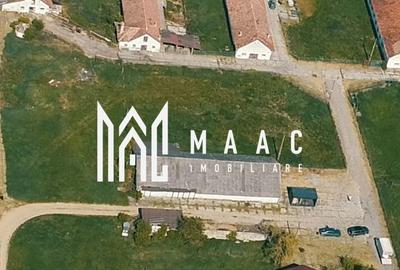Hale disponibile 1400 mp I Teren 6000 mp I Utilități I Apoldu - 1
