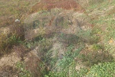 Teren intravilan de vanzare in Hidiselul de Jos, jud.Bihor - 11