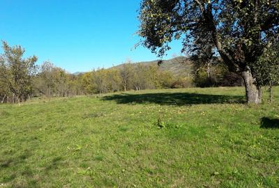 Teren intravilan în sat Făget, com. Drajna, Prahova - 4