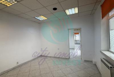 Vila in stil arhitectural german adiacent Calea Mosilor - 13