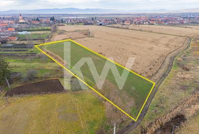 Teren 10000 mp in Extravilan, Bod, Brasov- COMISION 0% - 1