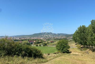 Teren intravilan 2600 mp - pretabil casa/investitie-Zona Aerodrom - 3
