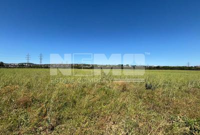 Teren intravilan agricol | 1200€  arul | Suceava - 1