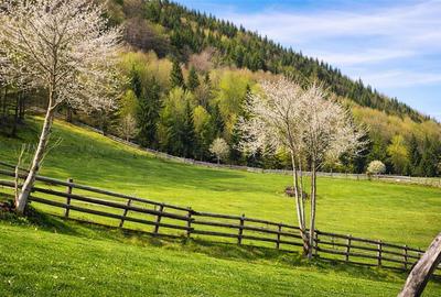7.000 mp, pozitie spectaculoasa, fara vecini, Fundatica, Brasov - 8