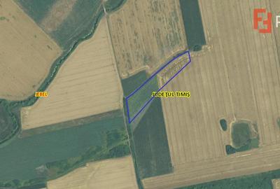 Teren agricol extravilan de vanzare, 2,69 hectare - Jebel Timis - 3