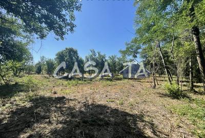 Casa 4 Camere, Parter, Runcu - Baltisoara - 20