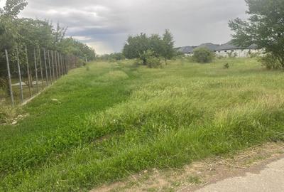 Teren 5.000 mp | Tămăși – Corbeanca | Lângă Pădure | Utilități - 1