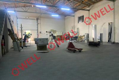 Spații potrivite pentru atelier sau depozit de închiriat în Sfântu Gheorghe! - 7