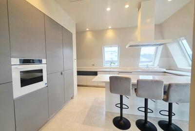 ÎNCHIRIERE PENTHOUSE  EROU IANCU NICOLAE - 7