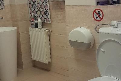 Piata Muncii –Calea Calarasilor,vila 12 camere, suprafata 370mp,curte 150mp - 18