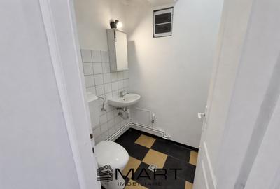 Spatiu comercial zona Calea Dumbravii - 4