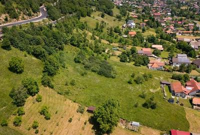 FILM! 1.450 mp intravilan, la DN, incantare peisagistica, Bran, Moieciu, Brasov - 39