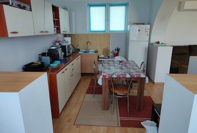 Vand casa la tara, stil neoclasic, cadru idilic - 4
