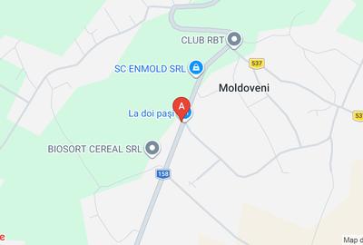 Teren in Moldoveni Neamt - 1