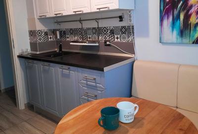 Apartament 3 Camere,Parcul Circului,bl.reabilitat,Amenajat,mobilat,complet - 3