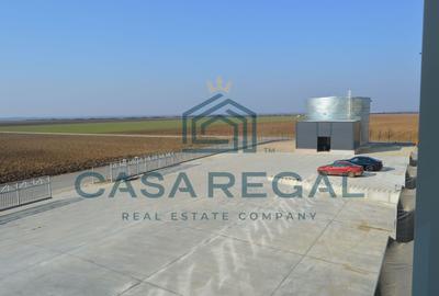 Hală industrială 7100mp – locație strategică - Biharia - zona metropolitană - 17