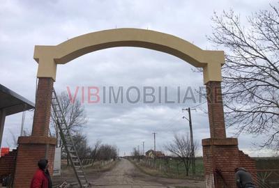 Ferma complet utilată – 30 ha teren comasat cu 11.500mp grajduri renovate Timiș - 2