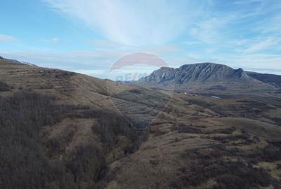 Teren intravilan 1.271 mp – Izvoarele, jud. Alba - 18