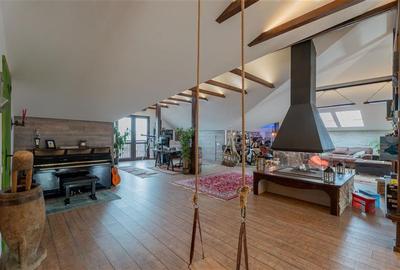 Vila de Vis cu Panorama Spectaculoasa ,INDEPENDENTA  ENERGETIC -Bucium - 29