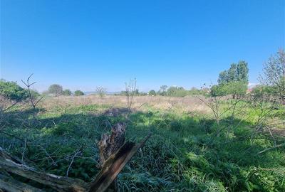 Teren intravilan de vanzare 14900 mp, 43m deschidere  Mureseni, Mures - 10