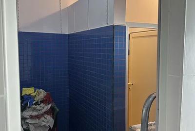 Balta Alba Inchiriez spatiu comercial stradal bucatarie utilata 100 mp parter ca - 5