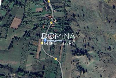 Vânzare teren intravilan *3262 mp -  Baia de Fier - potențial turistic* - 3