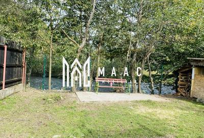 Casă de vacanță I Râu Sadului I Ieșire la râu - 7