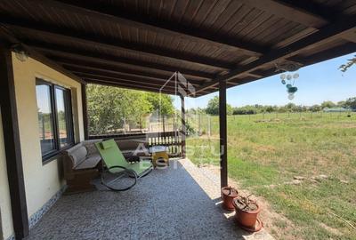 Casa + constructie moderna,de vanzare,2 locuinte,teren 2298 mp Giulvaz - 12