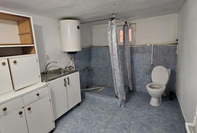 Tormac -casa parter- renovata -800 mp - 8