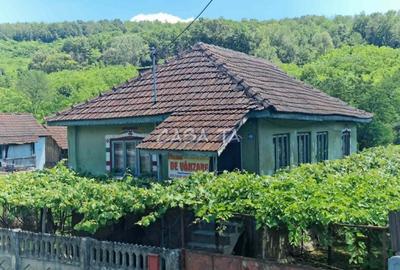 Casa situata in orasul Targu-Carbunesti , Sat Ștefanesti - 1