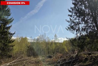 Teren intravilan de vanzare - Vistisoara - 1