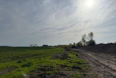 TEREN INTRAVILAN 3700MP METROU BERCENI - 9