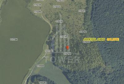 Teren EXTRAVILAN de vânzare în Săcel - 12