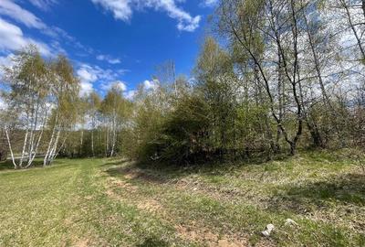 TEREN EXTRAVILAN | 103.000mp | BALANACA-GROSI | PASUNE | PASUNE IMPADURITA | BIH - 8