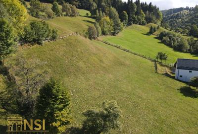 Teren constructii intravilan || Bran || Simon || 2668 mp - 7