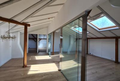 Vila Kiseleff - sediu ambasada, sediu reprezentativ - 15